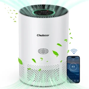 Smart Air Purifier