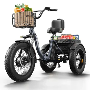 E-Trike