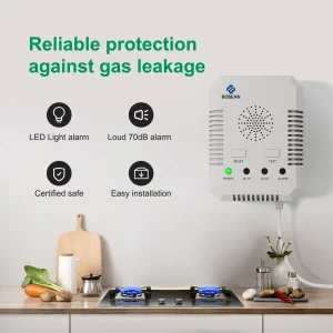 Gas Leak and CO Detector