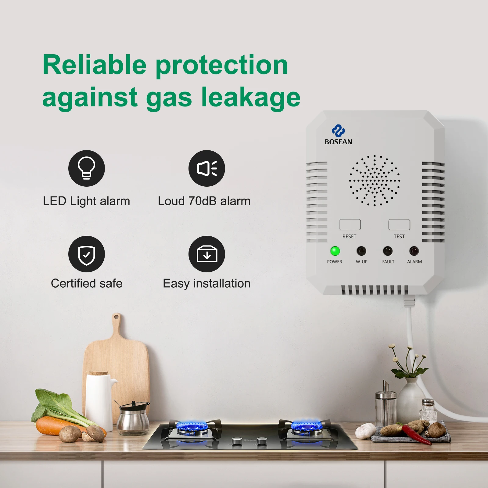 Gas and CO Leak Detector